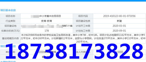 北京商务信息咨询 助力企业决策与发展的专业服务